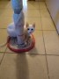 Cloe